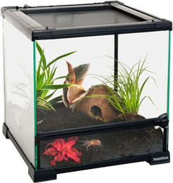 HabiStat Transparentes Glasterrarium für Reptilien, Frösche und Wirbellose – Bild 1 von 1