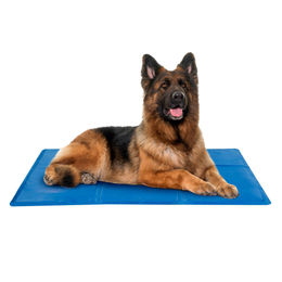 HAC24 Kühlmatte für Hunde XL Blau wasserabweisend 80 x 60 cm - 80 cm – Bild 1 von 4