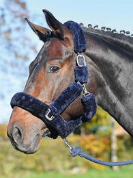Halfter Guard mit Kunstfell für Ponys in Navy Blau – Bild 1 von 2