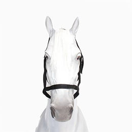 Halfter WEIDE für Kaltblut Pferde Schwarz – Bild 1 von 4