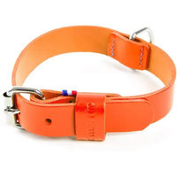 Produktbild von Halsband aus Leder für Hunde von Martin Sellier in Orange 30/41-49 cm