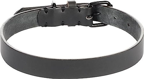 Halsband Leano Schwarz für Hunde 43-53cm 25mm – Bild 1 von 2