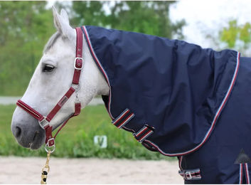 Produktbild von Halsdecke für Ponys von H&JOY in Blau aus Oxford-Gewebe