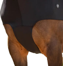 Produktbild von Halsdecke QHP für Pferde aus Polyester in Schwarz Größe M