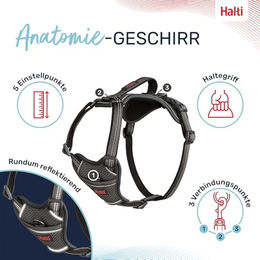 Halti Anatomy Hundegeschirr Grau XS mit Neoprenpolsterung und Reflektoren – Bild 1 von 6