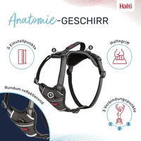 Produktbild von Halti Anatomy Hundegeschirr Grau XS mit Neoprenpolsterung und Reflektoren
