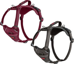Halti Anatomy Hundegeschirr Magenta Größe L aus Nylon – Bild 1 von 5