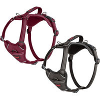 Produktbild von Halti Anatomy Hundegeschirr Magenta Größe L aus Nylon