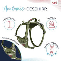 Produktbild von Halti Anatomy Hundegeschirr mit Griff Grün XS mit Neoprenpolsterung und Reflektoren