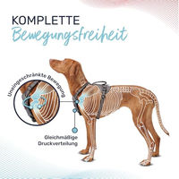 Produktbild von Halti Anatomy Hundegeschirr mit Griff und Neoprenpolsterung Grau Größe XL