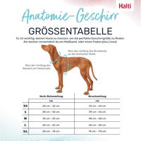 Produktbild von Halti Anatomy Hundegeschirr mit Griff und Neoprenpolsterung reflektierend Blaugrün Größe XL