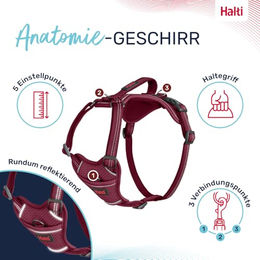 Halti Anatomy Hundegeschirr mit Griff und Neoprenpolsterung Reflektierend Magenta Größe M – Bild 1 von 6