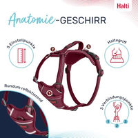 Produktbild von Halti Anatomy Hundegeschirr mit Griff und Neoprenpolsterung Reflektierend Magenta Größe M