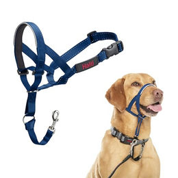 Halti Erziehungshalsband Kopfgeschirr für Hunde aus Nylon in Blau Größe M – Bild 1 von 7