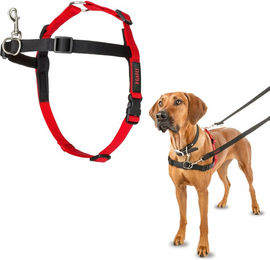 Halti Front Control Hundegeschirr aus Nylon Schwarz Rot Größe S – Bild 1 von 5