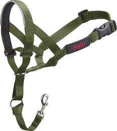 Halti Hunde Kopfgeschirr Erziehungshalsband aus Nylon Grün Größe 2 für mittelgroße Hunde - 1 Stk. – Bild 1 von 13