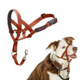 Halti Kopfgeschirr Anti-Zug Erziehungshalsband für mittelgroße Hunde aus Nylon in Orange Größe M – Bild 1 von 6