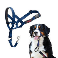 Produktbild von Halti Kopfgeschirr Erziehungshalsband für große Hunde aus Nylon in Blau Größe 4