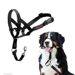 Halti Kopfgeschirr Erziehungshalsband für große Hunde Schwarz Größe 5 aus Nylon – Bild 1 von 6