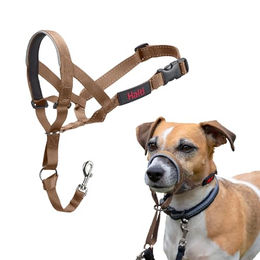 Halti Kopfgeschirr Erziehungshalsband für kleine Hunde aus Nylon in Beige und Braun Größe 1 – Bild 1 von 7