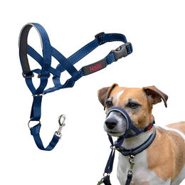 Halti Kopfgeschirr Erziehungshalsband für kleine Hunde Blau Größe 1 – Bild 1 von 11