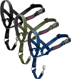 Halti Kopfgeschirr für kleine Hunde Schwarz Größe 0 aus Nylon – Bild 1 von 10