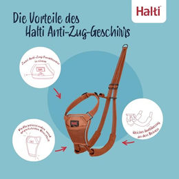 Halti No Pull Anti-Zug Hundegeschirr aus Nylon in Orange Größe XS – Bild 1 von 4