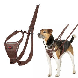 Halti No Pull Anti-Zug Hundegeschirr mit reflektierendem Gurtband Braun Größe XS – Bild 1 von 4