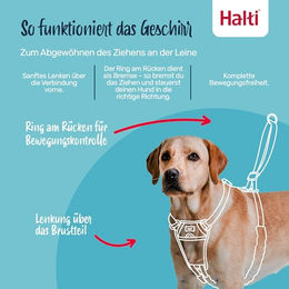 Halti No Pull Anti-Zug Hundegeschirr mit reflektierendem Gurtband in Waldgrün Größe L – Bild 1 von 4