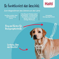Produktbild von Halti No Pull Anti-Zug Hundegeschirr mit reflektierendem Gurtband in Waldgrün Größe L