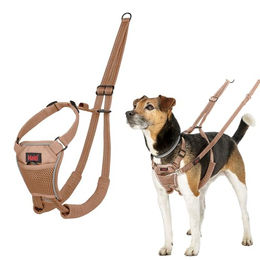 Halti No Pull Anti-Zug Hundegeschirr mit Reflektoren Größe S Beige – Bild 1 von 4