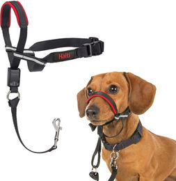 Halti Optifit Kopfgeschirr Erziehungshalsband für Hunde Größe L aus Nylon in Schwarz und Rot - 1 Stk. – Bild 1 von 7