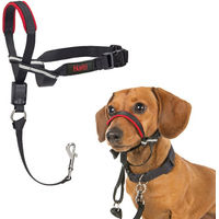 Produktbild von Halti OptiFit Kopfgeschirr für Hunde Größe M aus Polyester