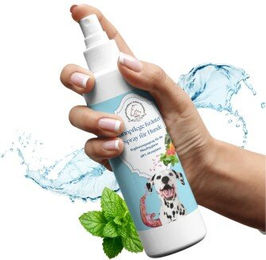 Hand aufs Pferd/Hund Zahnpflege Kräuter Spray für Hunde vegan ohne Farb- und Aromastoffe 200ml – Bild 1 von 3