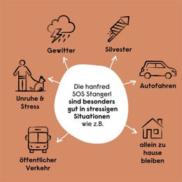 Hanfred SOS Stangerl Rind Trockenfleisch Getreidefrei ohne Konservierungsstoffe 65 g - 65 g – Bild 1 von 2