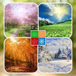 Hanfsaat Einzelfuttermittel für Pferde, Ponys und Vögel 10kg - 10 kg – Bild 1 von 2