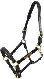 Hans Melzer Halfter Hünxe für Warmblut aus Nylon in Schwarz mit Messingbeschlägen – Bild 1 von 5