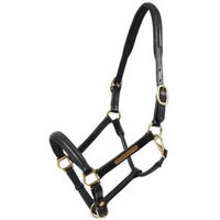 Produktbild von Hans Melzer Halfter Hünxe für Warmblut aus Nylon in Schwarz mit Messingbeschlägen