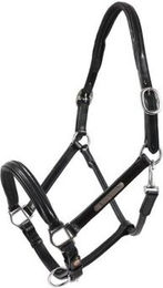 Hans Melzer Horse Equipment Leder Halfter für Shetlandpony Schwarz Silber – Bild 1 von 2