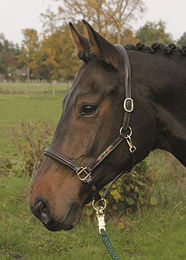 Hans Melzer Horse Equipment Lederhalfter Sahrendorf für Vollblut in Braun mit Messing – Bild 1 von 4