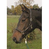 Produktbild von Hans Melzer Horse Equipment Lederhalfter Sahrendorf für Vollblut in Braun mit Messing