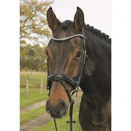 Hans Melzer Horse Equipment Trense für Warmblut aus Leder in Schwarz/Schwarz – Bild 1 von 3