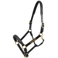 Produktbild von Hans Melzer Pferdehalfter aus Nylon Schwarz mit Messingbeschlägen für Warmblut WB Extra