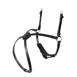 Produktbild von Hans Melzer Reithalfter mexikanisch braun/silber aus Leder für Warmblut
