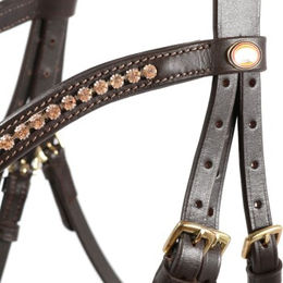 Produktbild von Hans Melzer Trense aus Leder in Braun mit Messing für Warmblut Pferde