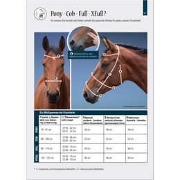 Hans Melzer Trense Calgary für Vollblut aus Leder in Braun mit Silber – Bild 1 von 3