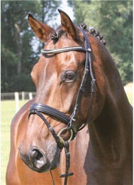 Hans Melzer Trense Kreuth Leder Schwarz/Silber Warmblut WB EXTRA – Bild 1 von 2