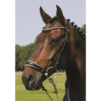 Produktbild von Hans Melzer Trense Valluhn Pony Leder schwarz/silber mit weiß unterlegtem Reithalfter