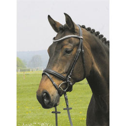 Hans Melzer Trense Valluhn schwedisches Modell aus Leder für Warmblut in Schwarz-Silber – Bild 1 von 2
