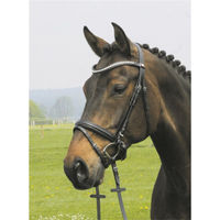 Produktbild von Hans Melzer Trense Valluhn schwedisches Modell für Ponys aus Leder in Schwarz-Silber